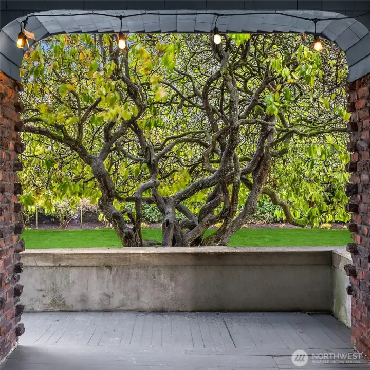 Framed by brick arches and café lights, this porch-side view centers on a once-humble rhododendron that has matured into a sculptural tree—its twisting limbs and evergreen canopy now serving as a living focal point of the garden. In every season, it offers privacy, shade, and a sense of permanence, anchoring the outdoor space with quiet elegance and reminding you that this property, like the home itself, has been thoughtfully grown and stewarded over time.