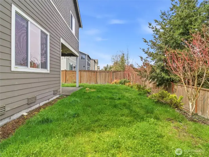 Lots of grassy area to play