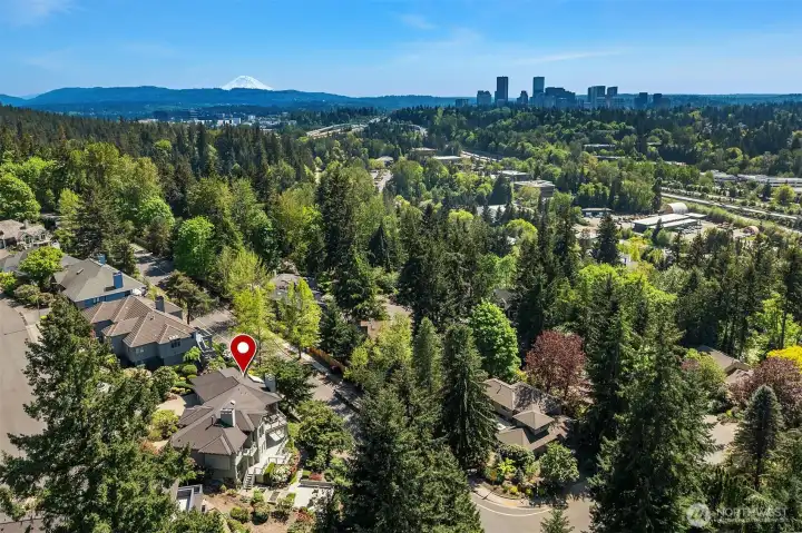 Great location and views of Bellevue Skyline