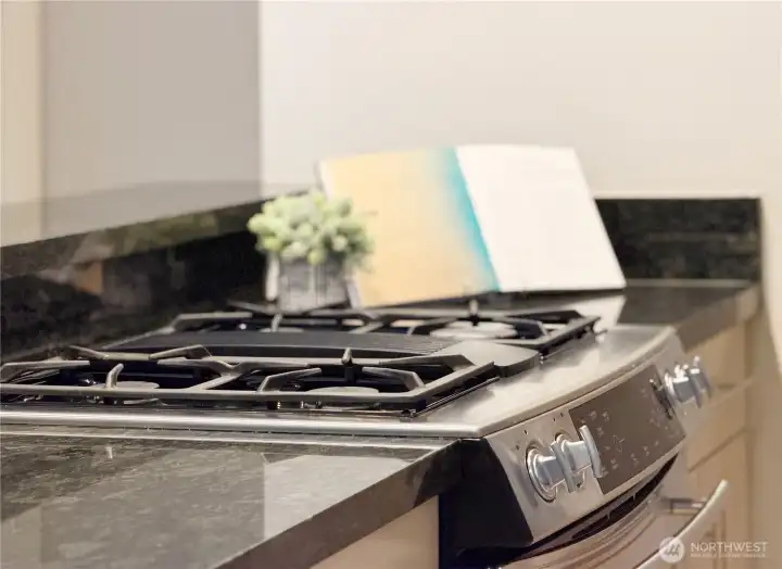 Gas Stove Gas Stove
