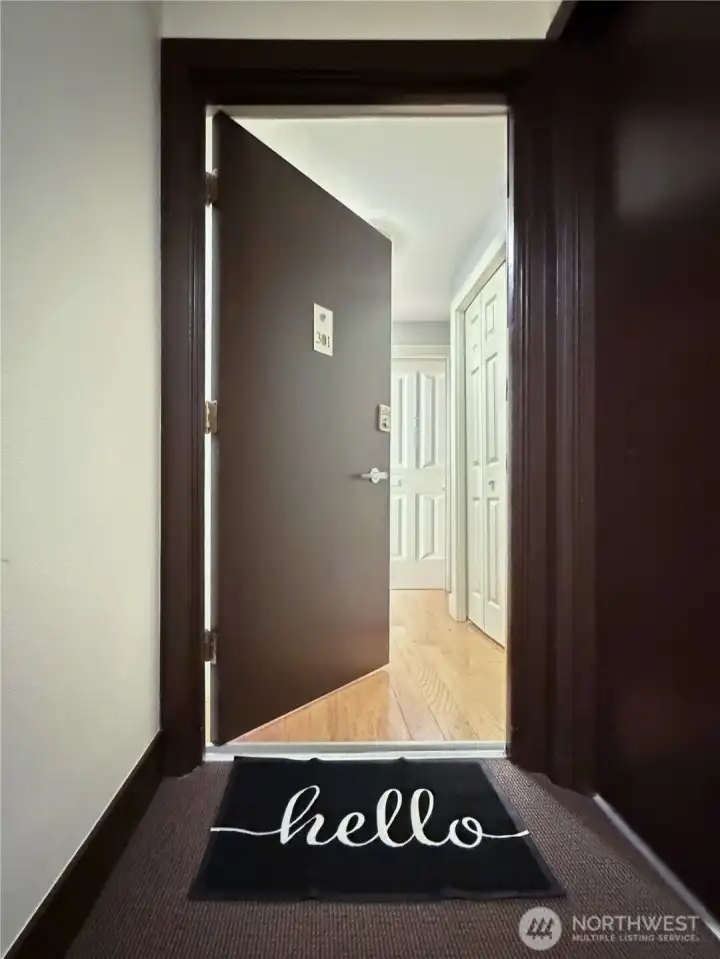 Condo Front Door Condo Front Door