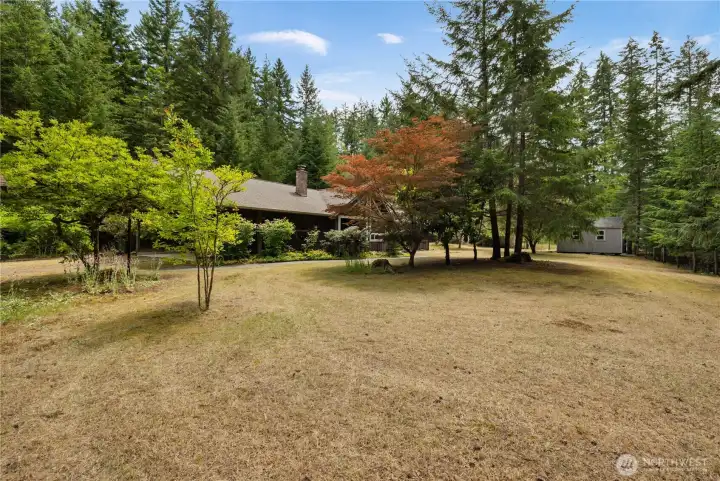 Expansive front yard with mature trees and shrubs.
