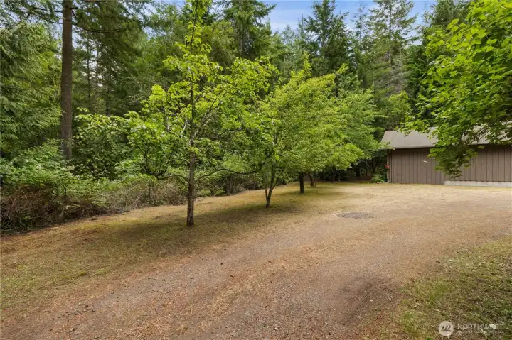 Some of the fruit trees on the property. There are many more!