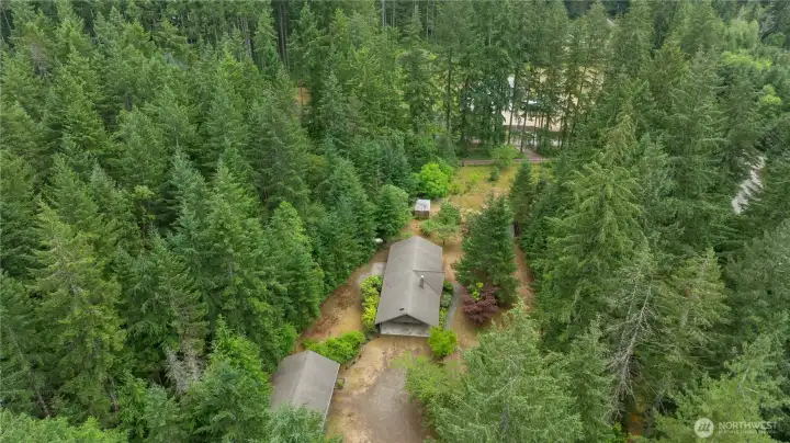 Surrounded by nature- just as it should be in the PNW.