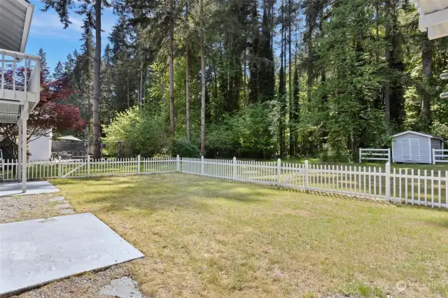 Fenced area of backyard, perfect for pets