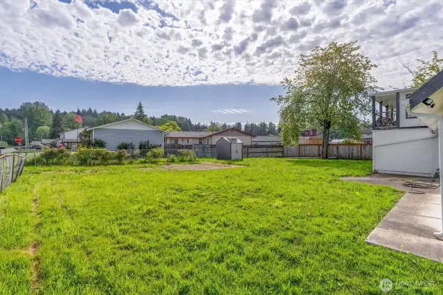 Large back yard