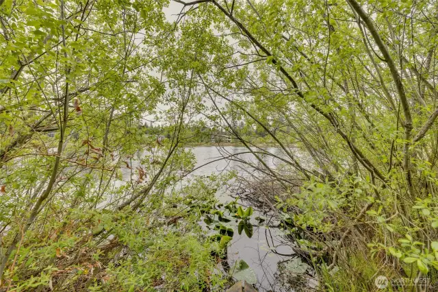 At the end of the boardwalk you'll find Forbes Lake ~ discover creative access to Paddle Board, kayak or otherwise enjoy this darling little lake