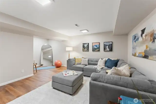 Lower Level Bonus Room