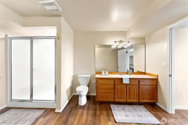 Lower Level Apartment Bathroom