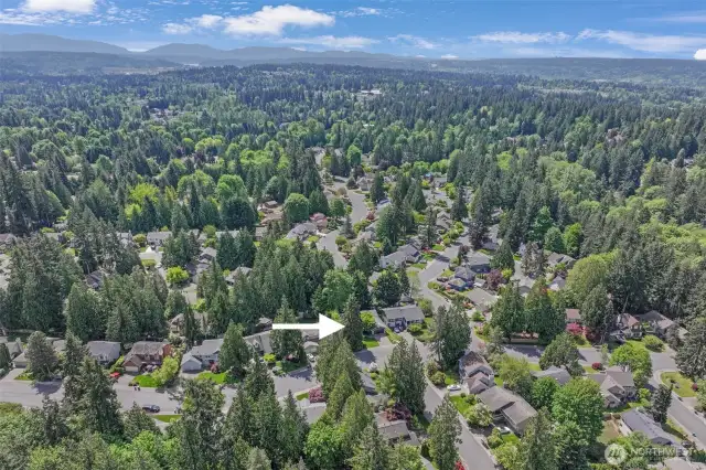 An aerial shot pinpoints the property within the lush English Hill community. Surrounded by greenbelts and neighborhood charm, the location blends tranquility with everyday convenience.