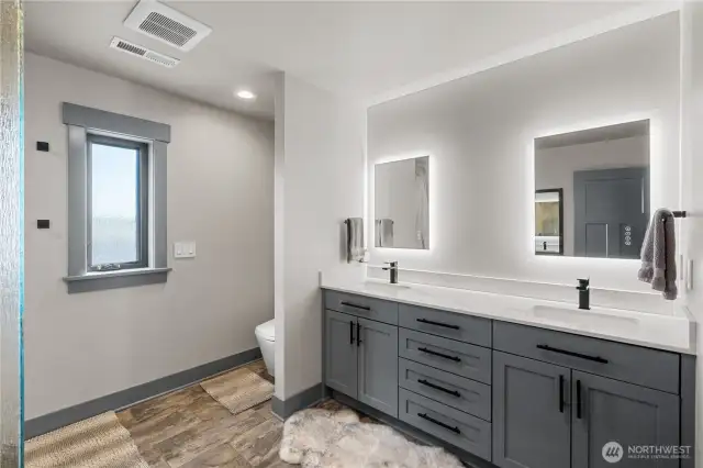 Primary bathroom. Smart lighting controlled by Alexa.