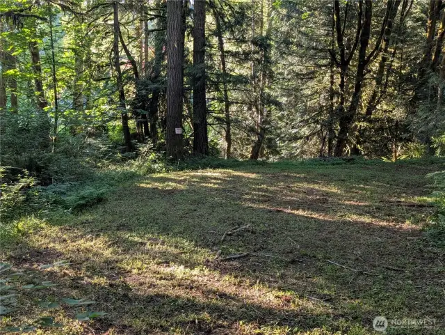 Back of the property has a seasonal stream (not pictured).