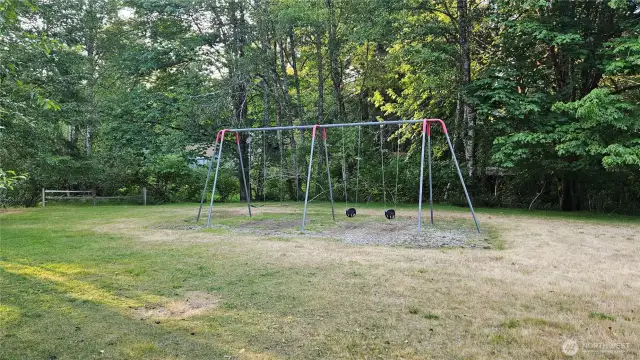 Community Swings