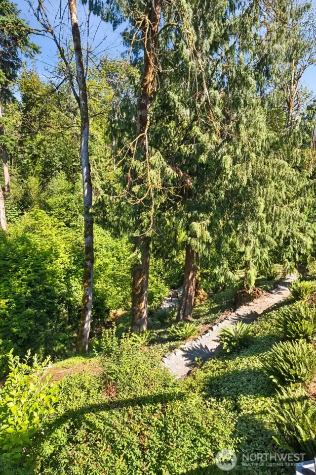 Wooded Trail with Native Landscaping. Follow the charming wooded trail nestled among mature evergreens and lush ferns—leading you to a hidden backyard sanctuary. A peaceful escape just steps from home.