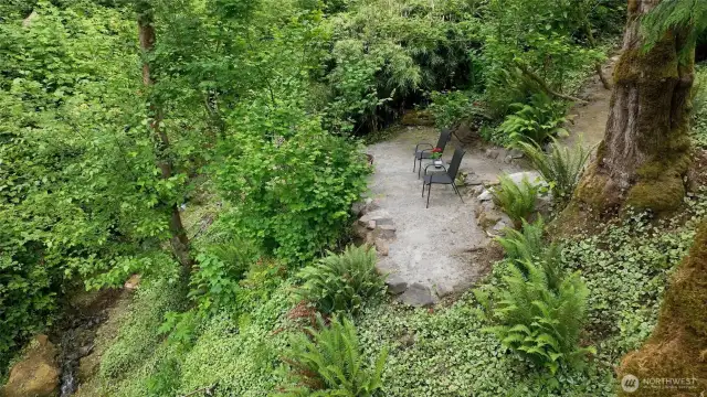 Follow the charming wooded trail nestled among mature evergreens and lush ferns—leading you to a hidden backyard sanctuary.