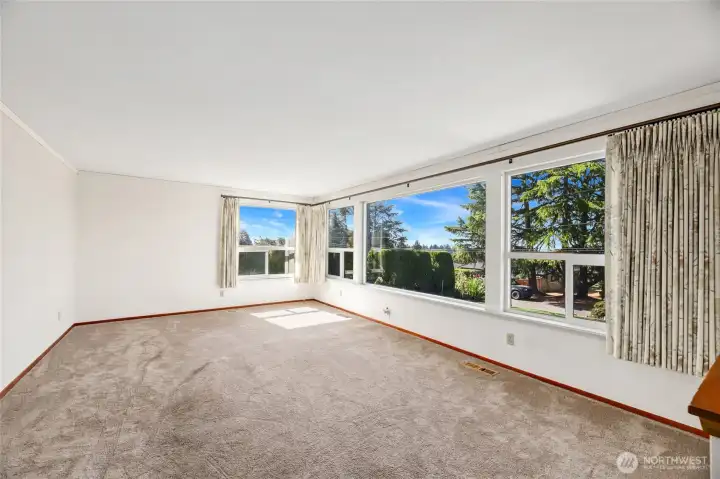 UV blocking roller sun shades / Carpeted