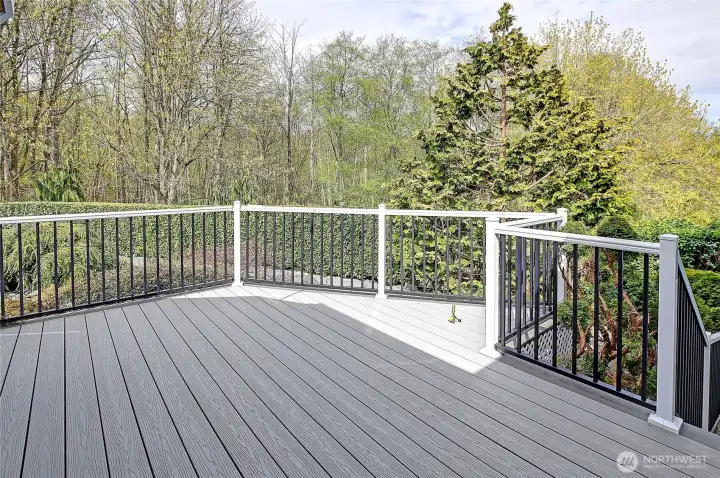 Tucked next to the water feature, this deck offers a serene setting with gas hookup for a firepit