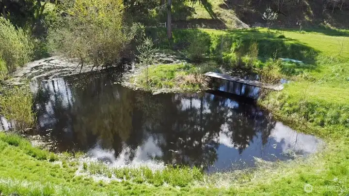 pond behind the barns