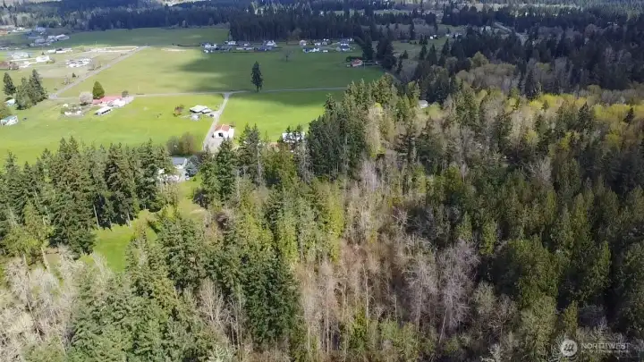 view from timberland to property