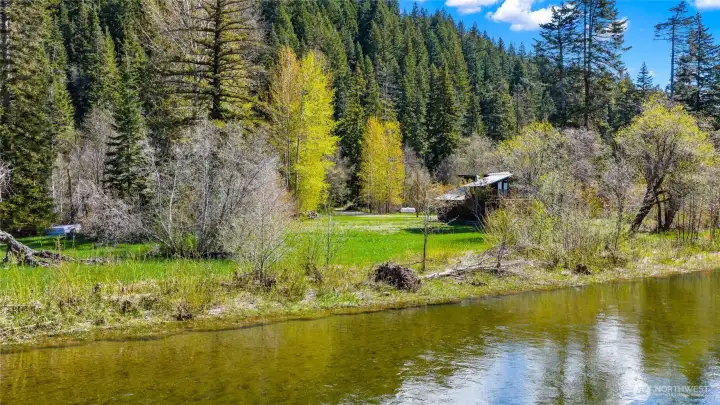 Mature forest surrounding this flat lot on the Yakima river.