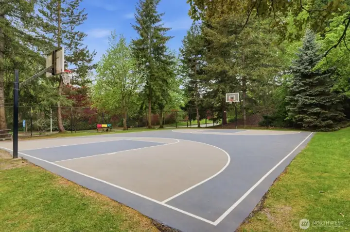 Basketball Court in Neighborhood