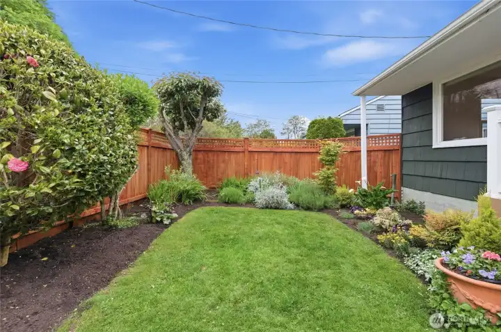 Fully fenced front yard