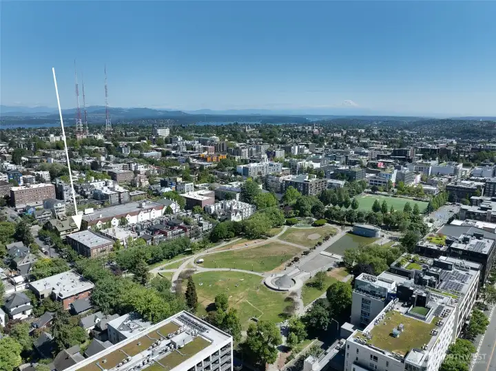 It's easy to see why this is one of Capitol Hill's most coveted settings.