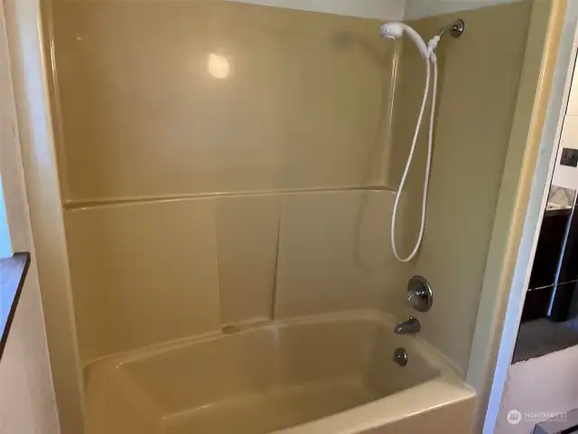 Guest Bath Tub/Shower