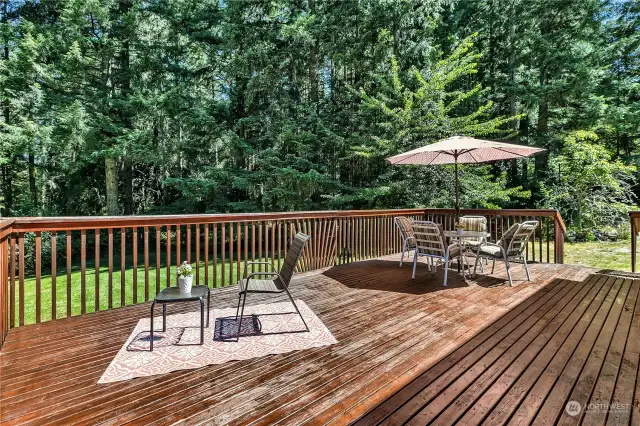 This deck is perfect. There's room for a full outdoor dining set.