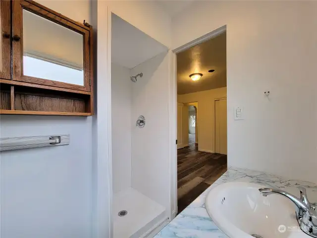 Master Bath showing walk-in shower.