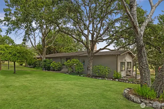 Mature Garry Oaks surround this comfortable home.