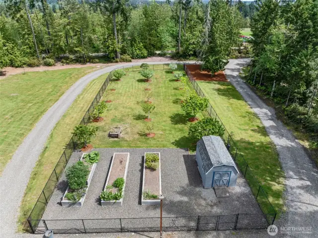 Orchard and raised planter beds, garden shed. Rainier cherries, plum, pear, peach, apple and blueberries, YUMMY!