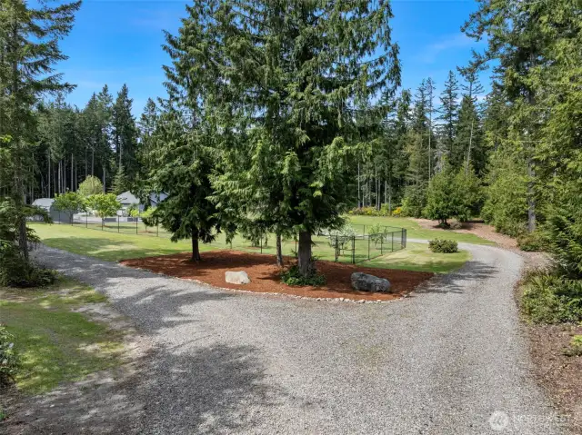 Large circular driveway, parked out acreage, single level home, detached shop/garage, orchard and more!!!