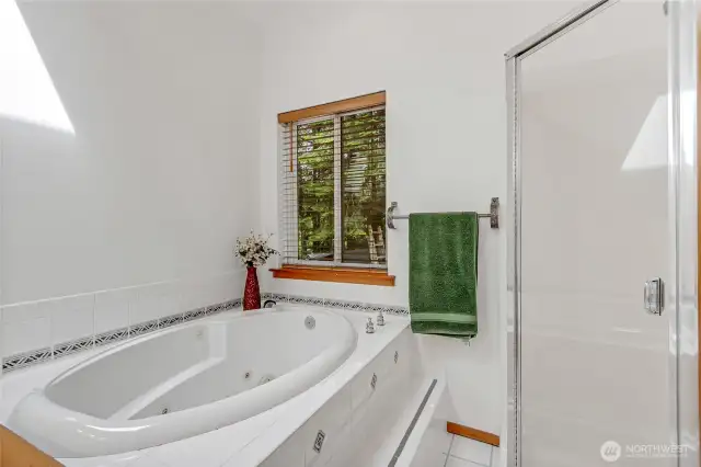 Soaker tub and shower in primary bathroom.