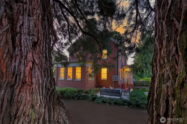 Redwood Patio Refuge  Cradled by century-old trunks, the residence opens to an expansive patio—just one of many alfresco enclaves tucked across this sweeping 16,706 sq ft parcel. Here, slow sunsets and starlit stories unfold on a private perch that extends into the 500-acre expanse of Discovery Park, offering a life lived largely outdoors.