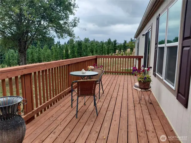 Back Deck