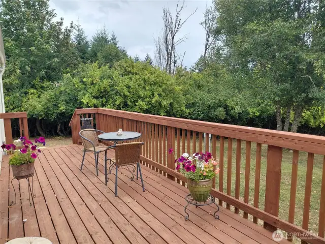Back Deck