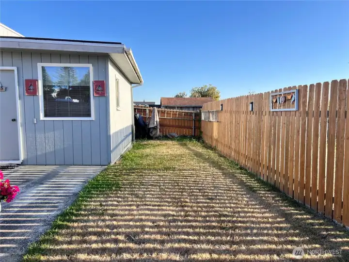 Back yard