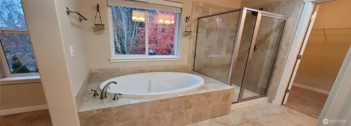 Primary Bath, Shower and Tub