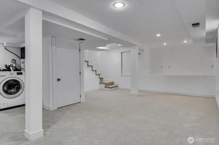 Lower level family room
