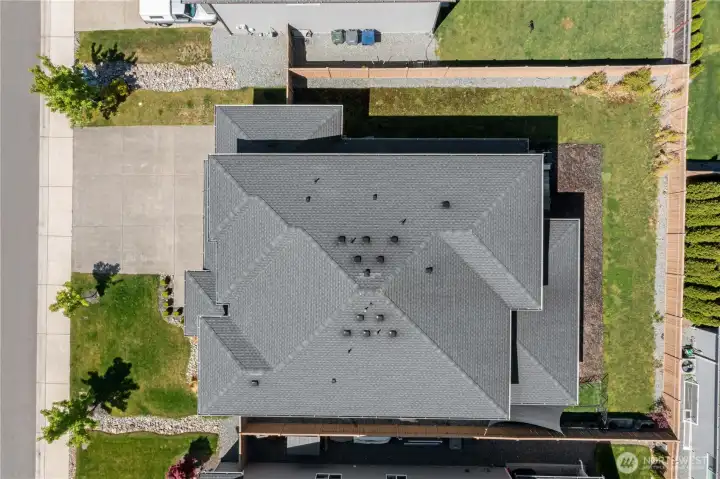~Arial View~
