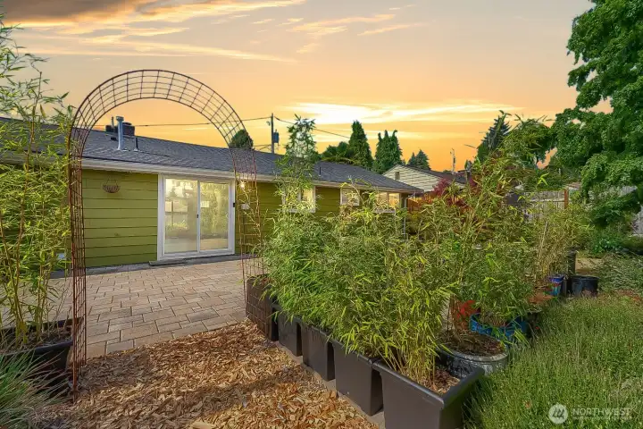 Back yard oasis