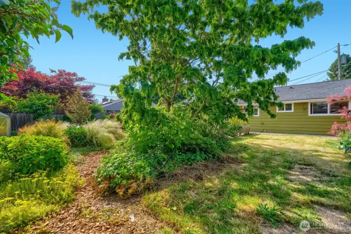 Mature landscaping