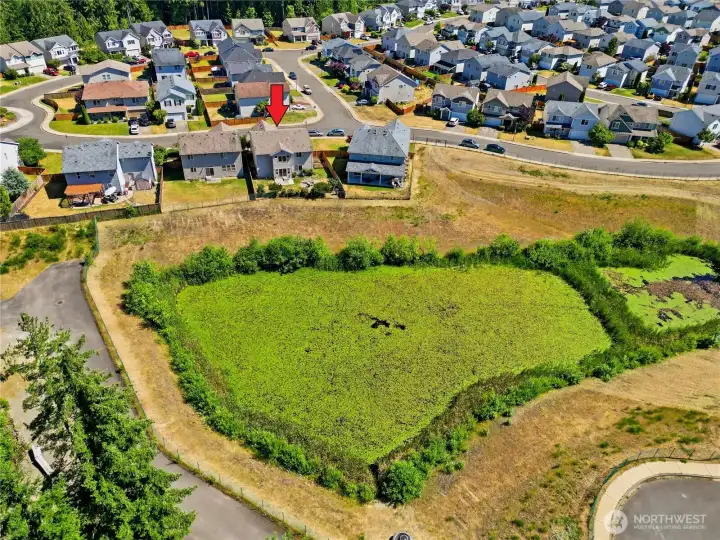 Beautiful pond and forest is your view from the primary bedroom, kitchen, and living room.