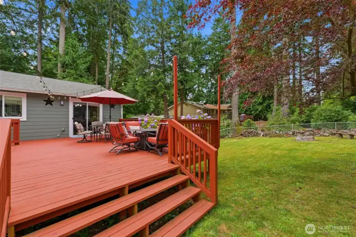 Backyard Backyard