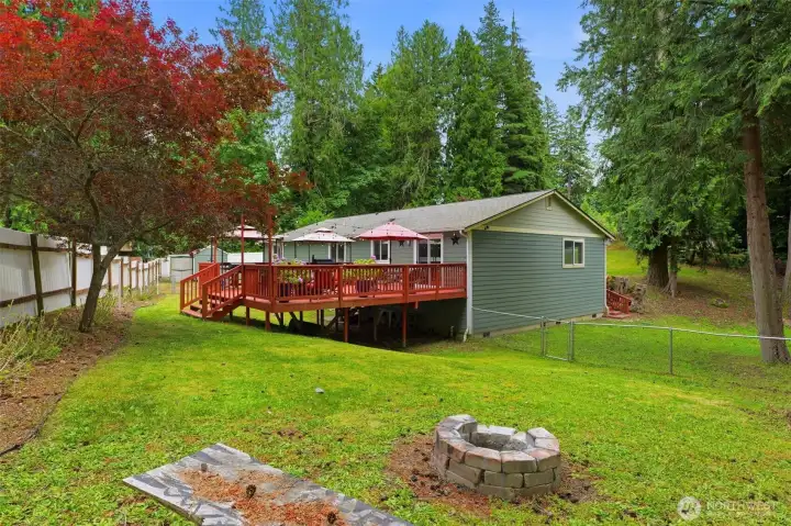 Backyard Backyard