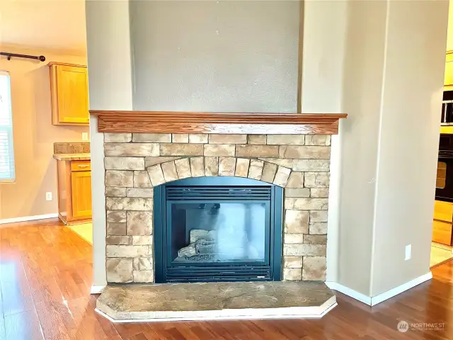 Propane fireplace.