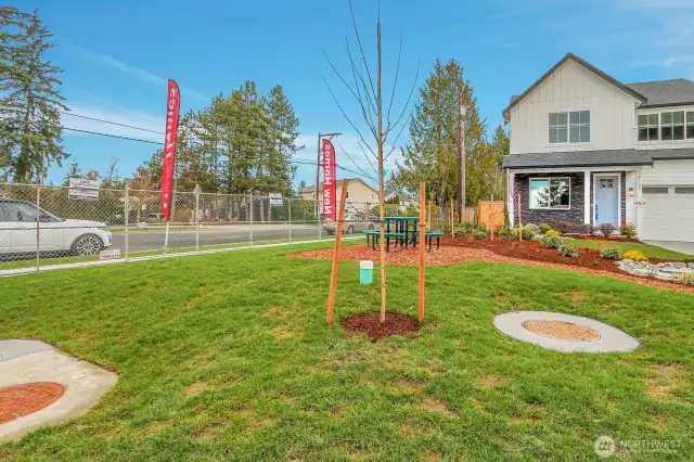 Community Park