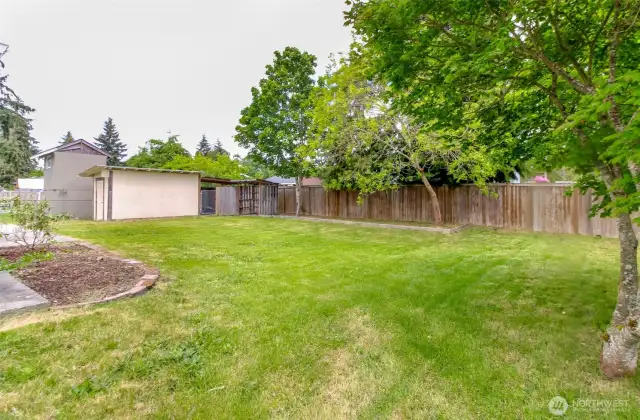 Look how big this back yard is!