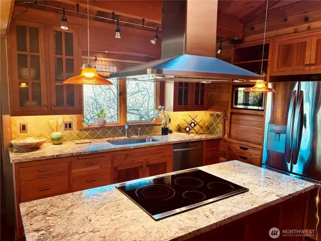 Granite island equipped with induction stove-top and convection oven, with lots of outlets.